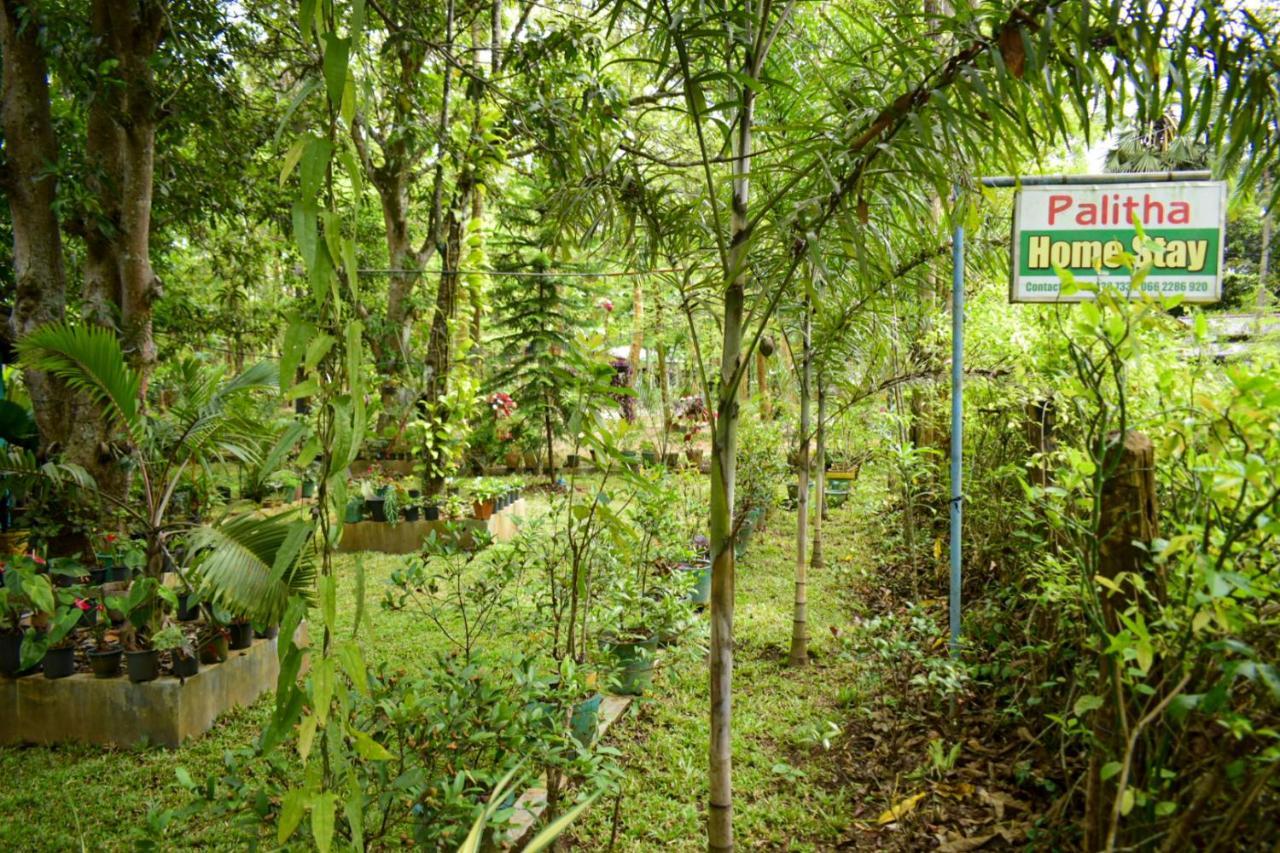 Palitha Homestay Szigirija Kültér fotó