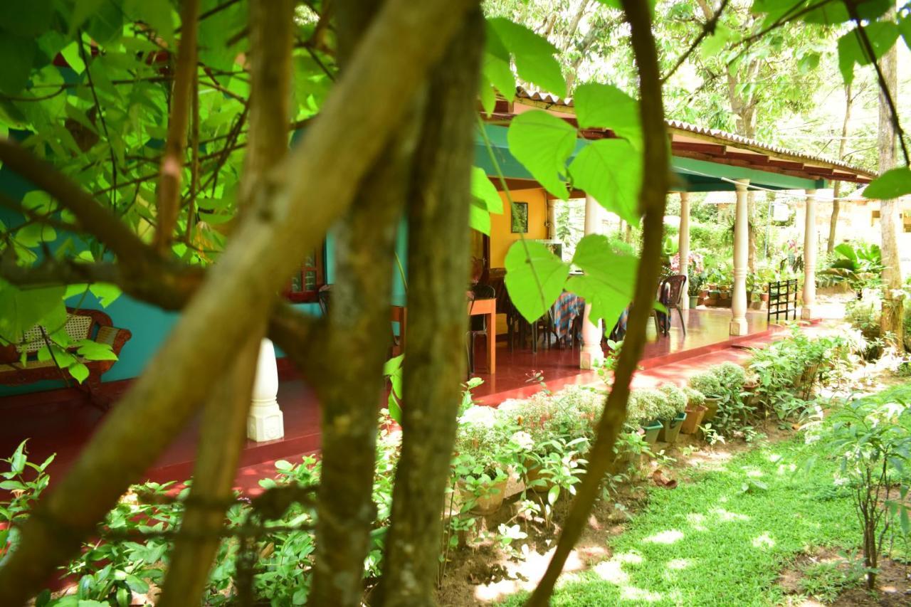 Palitha Homestay Szigirija Kültér fotó