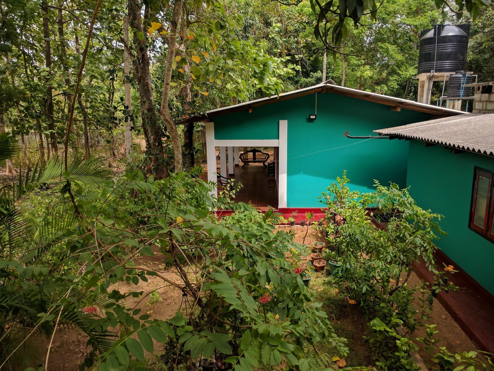 Palitha Homestay Szigirija Kültér fotó